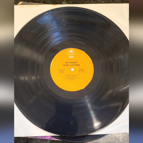 Collection of Original Ted Nugents Records - Picture 10 of 12